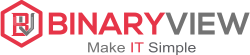Binary View Logo